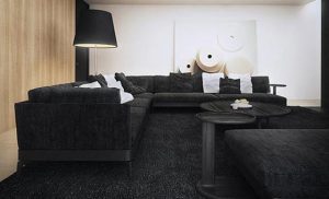 Comfortable Black and White Interior Design