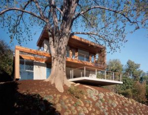 Contemporary Eco Friendly Tree House Design Ideas Front view