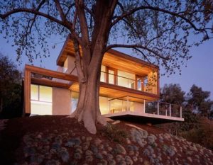 Contemporary Eco Friendly Tree House Design Ideas on night view