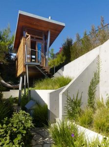 contemporary banyan tree house ideas