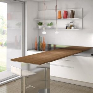Contemporary Minimalist Sleek Kitchen Design Ideas Small Pantry