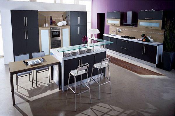 Contemporary Violet Kitchen Decorating Inspiration match with black decor