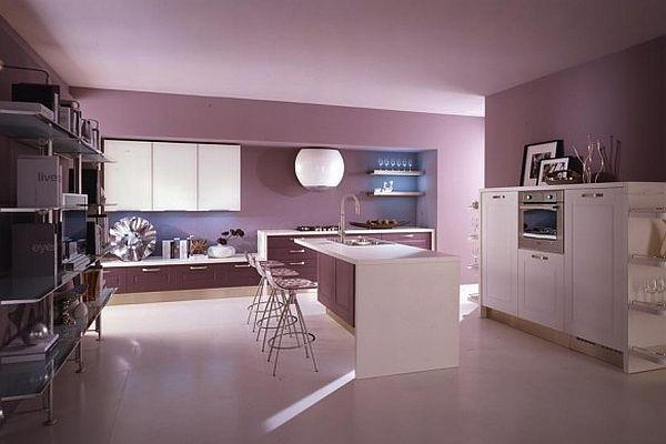 Contemporary Violet Kitchen Decorating Inspiration pinky themes