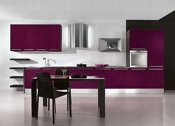 elegant Contemporary Violet Kitchen Decorating Inspiration