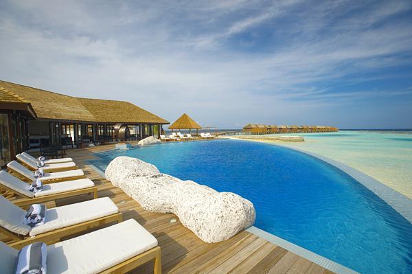 Cozy Lily Resort in Maldives amazing