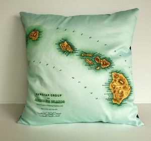 Funny and Delightful hawaiian Pillows by Bearded Pigeon