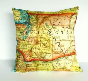 Funny and Delightful washington Pillows by Bearded Pigeon