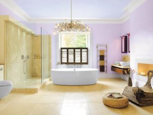 luxurious Elegant and Modern Showers Bathroom Decor Appliance
